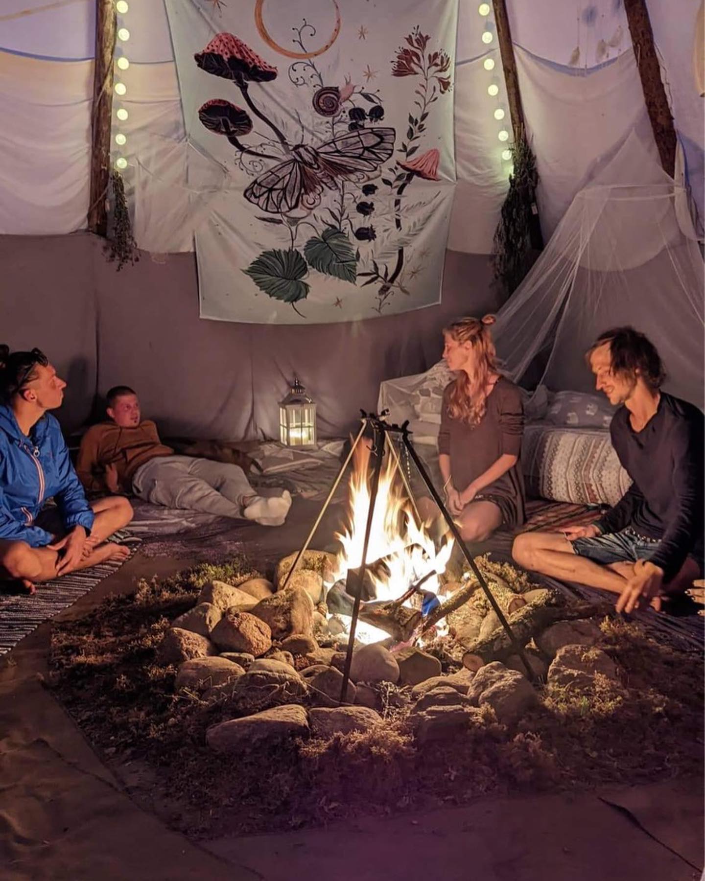 Wildlife & Camping 2