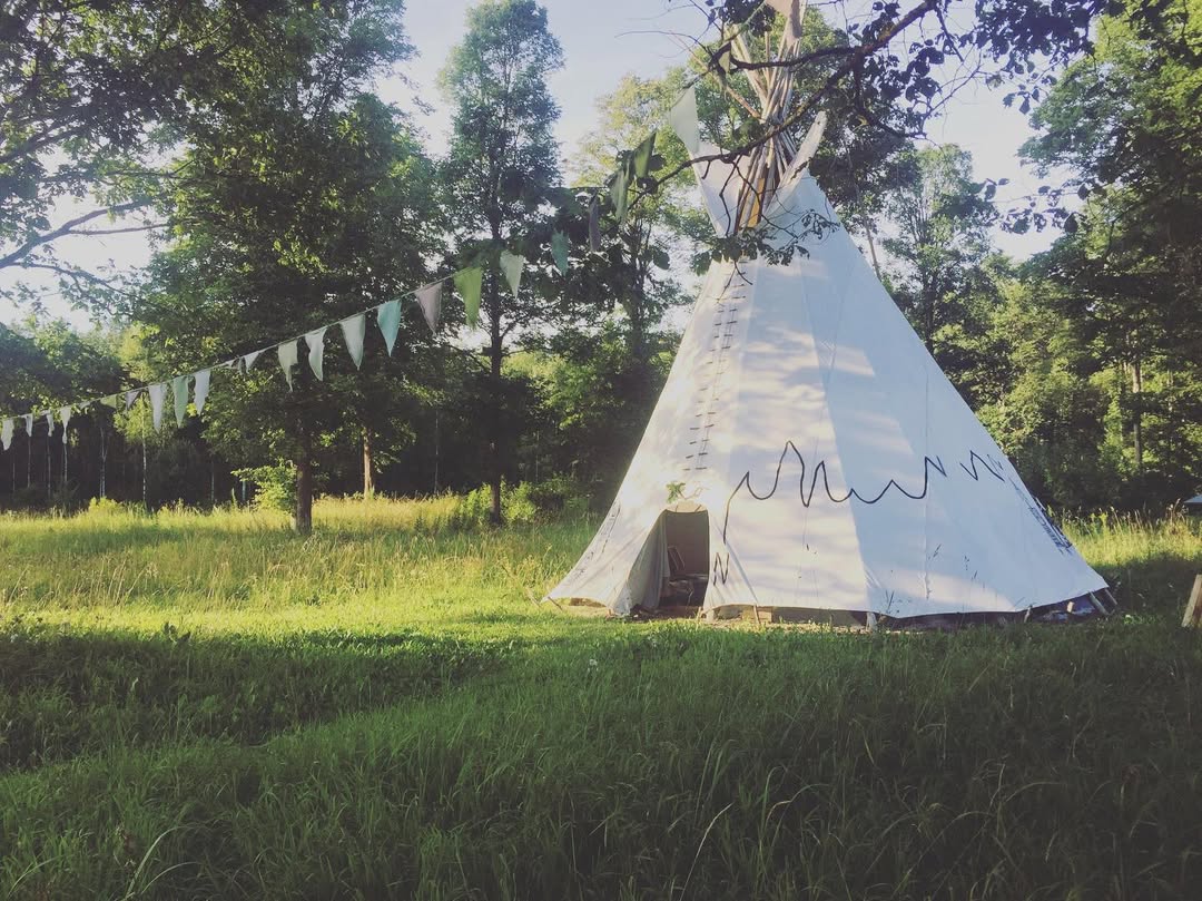 Wildlife & Camping 3